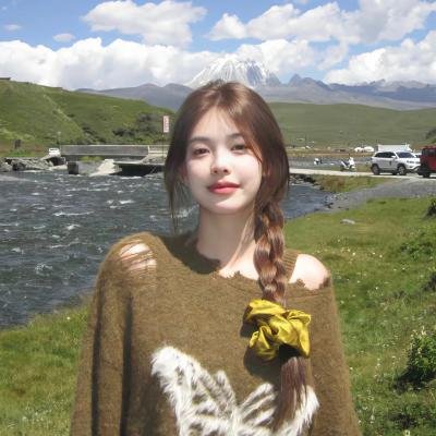 你永远不会独行 海报