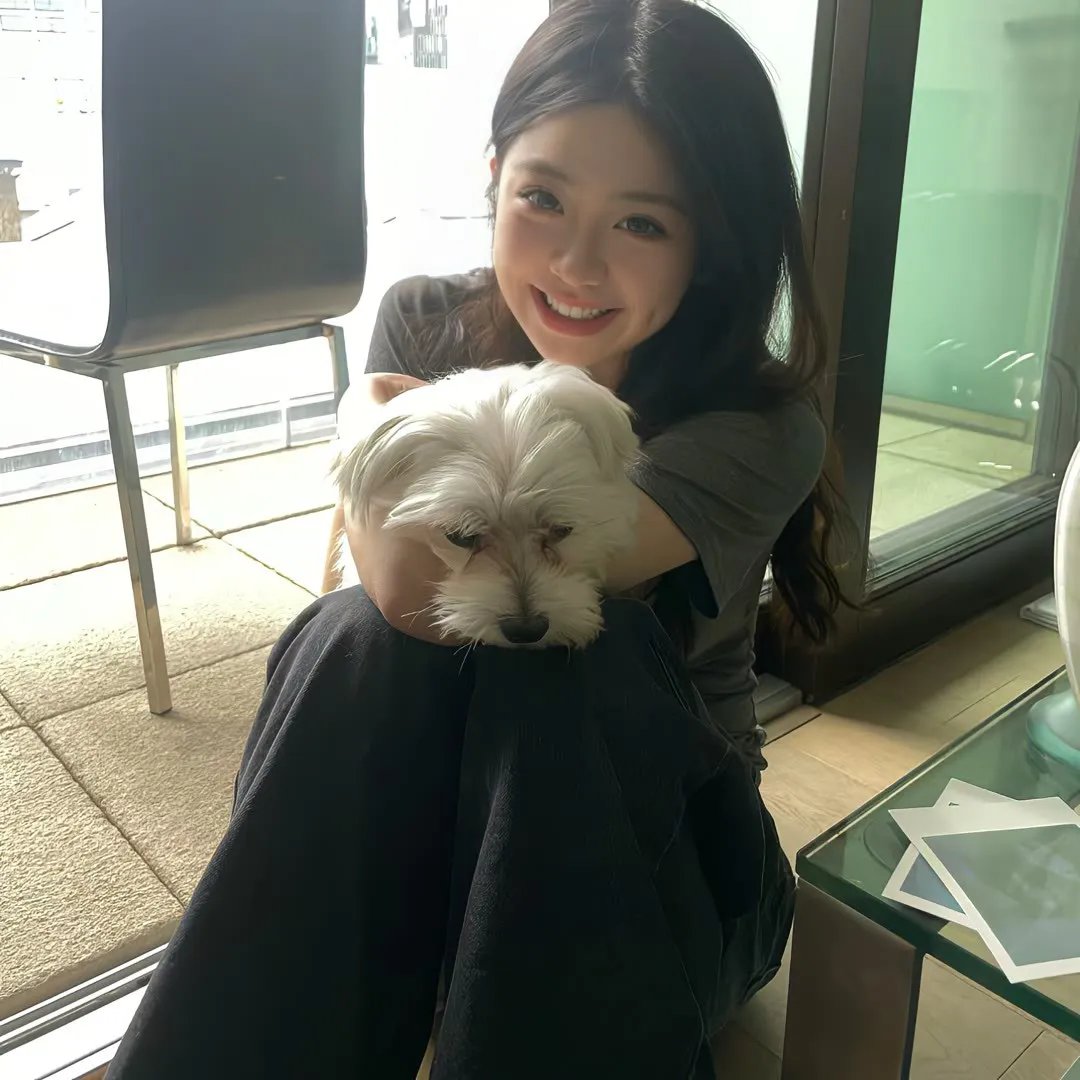 老友猩爷 海报
